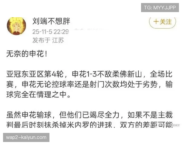 上海申花客场负于柔佛新山 裁判VAR判罚改变比赛进程引热议 上海申花客场负于柔佛新山 裁判VAR判罚改变比赛进程引热议